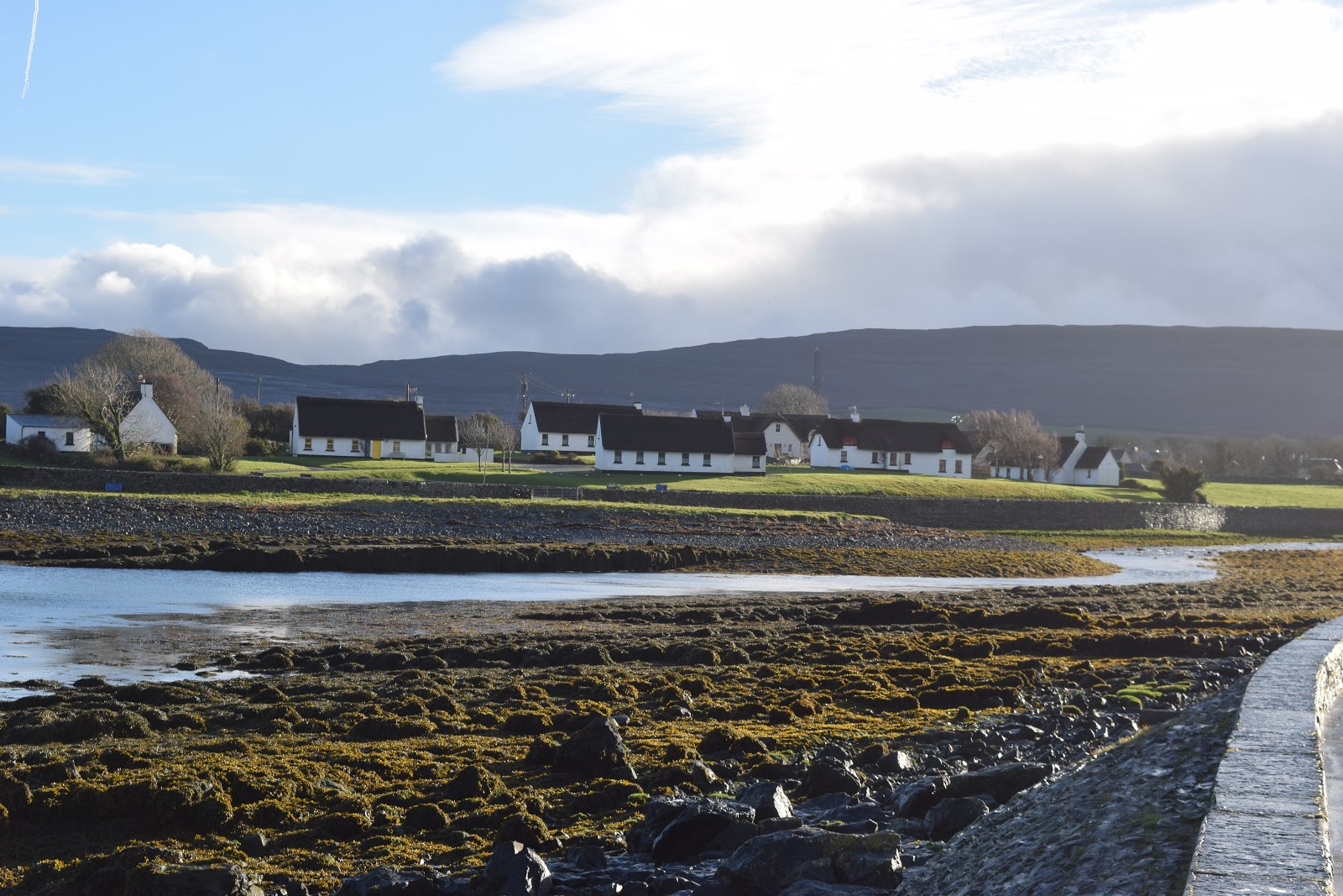 House Sitting Ireland Guide Travelling Weasels