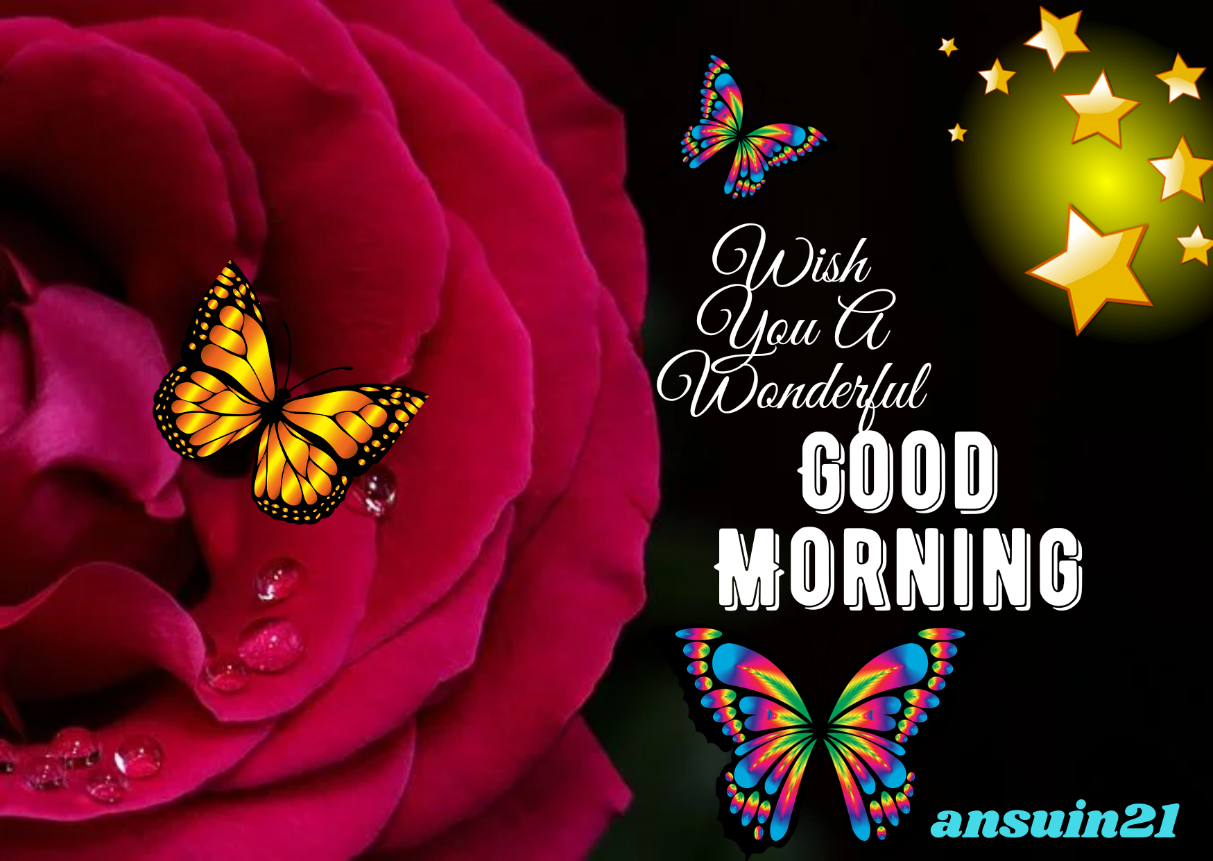 Best Good Morning HD Images for whatsaap free download, Romantic Good Morning English Status, Love Good Morning HD photos,