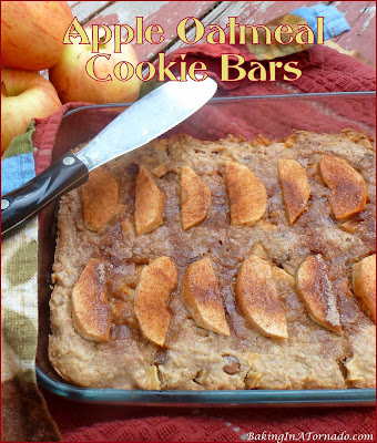 Apple Oatmeal Cookie Bars, fall flavored cookie dessert bars. | recipe developed by www.BakingInATornado.com | #recipe #dinner