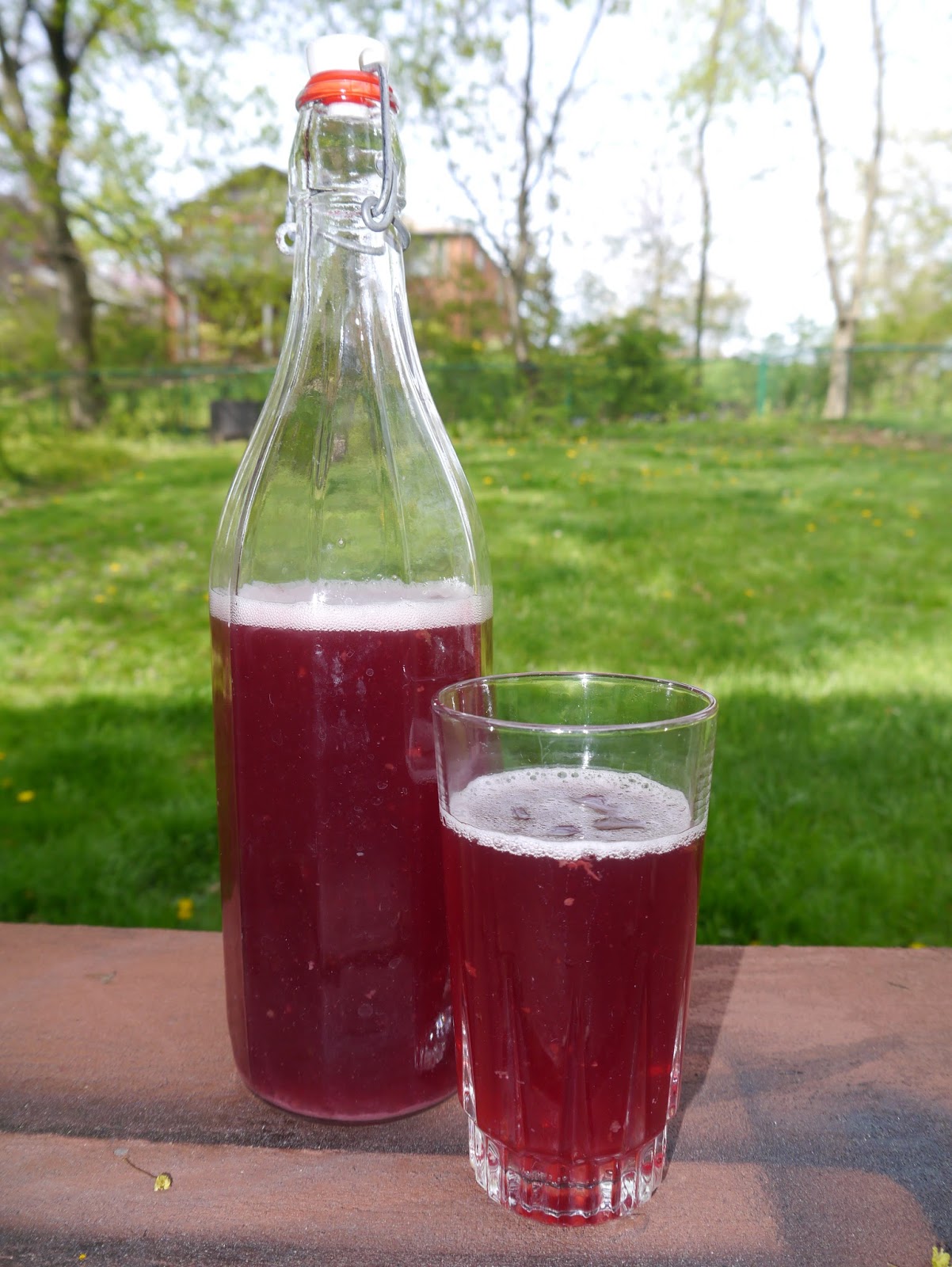 UHoller Plum Hard Cider