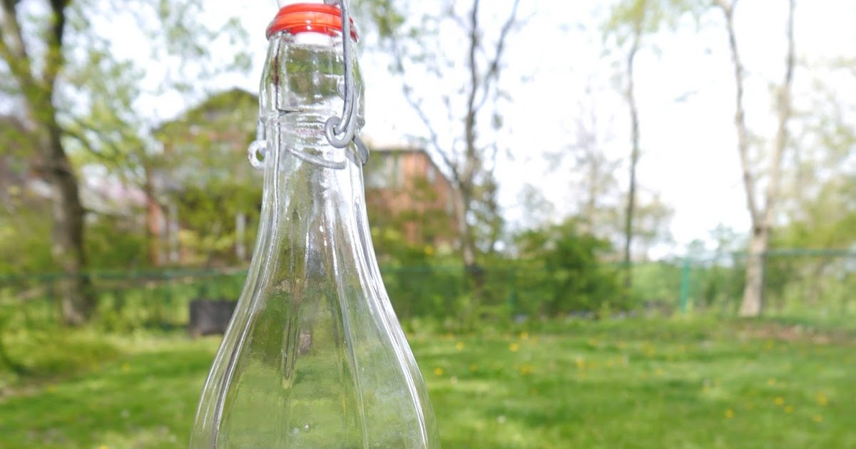 UHoller Plum Hard Cider