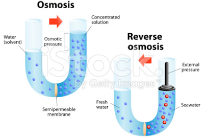 Pengertian dan Perbedaan Osmosis dan Difusi