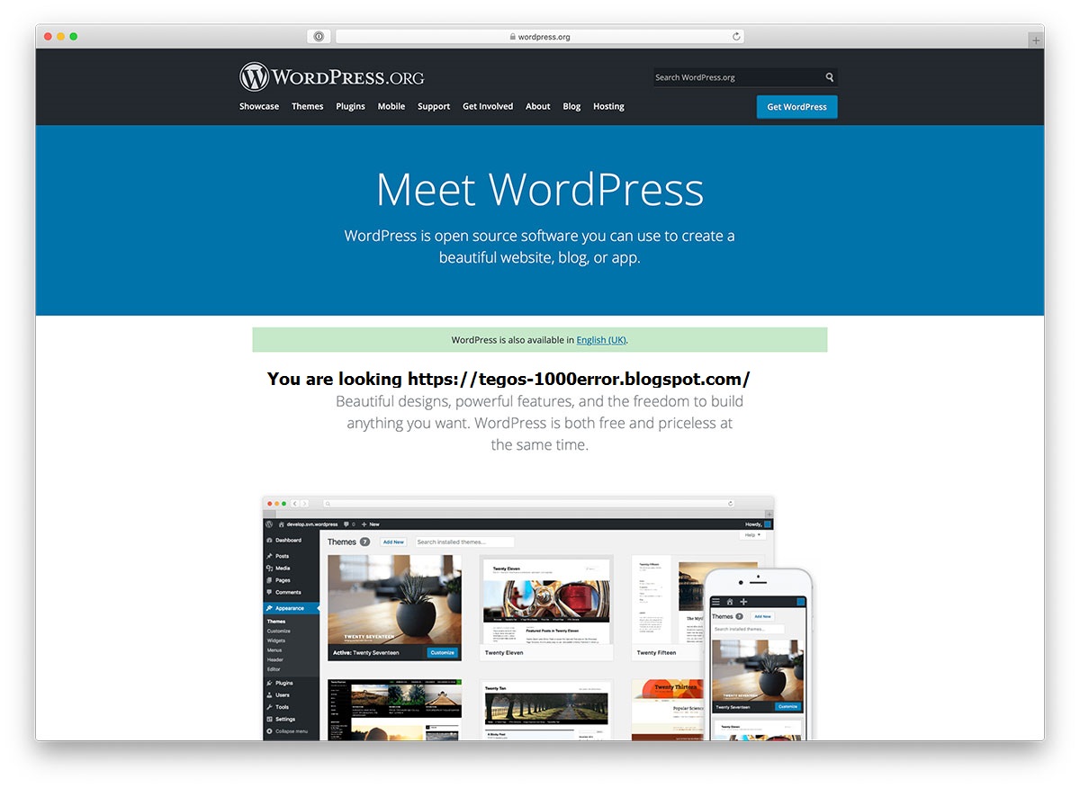 Wordpress wp content