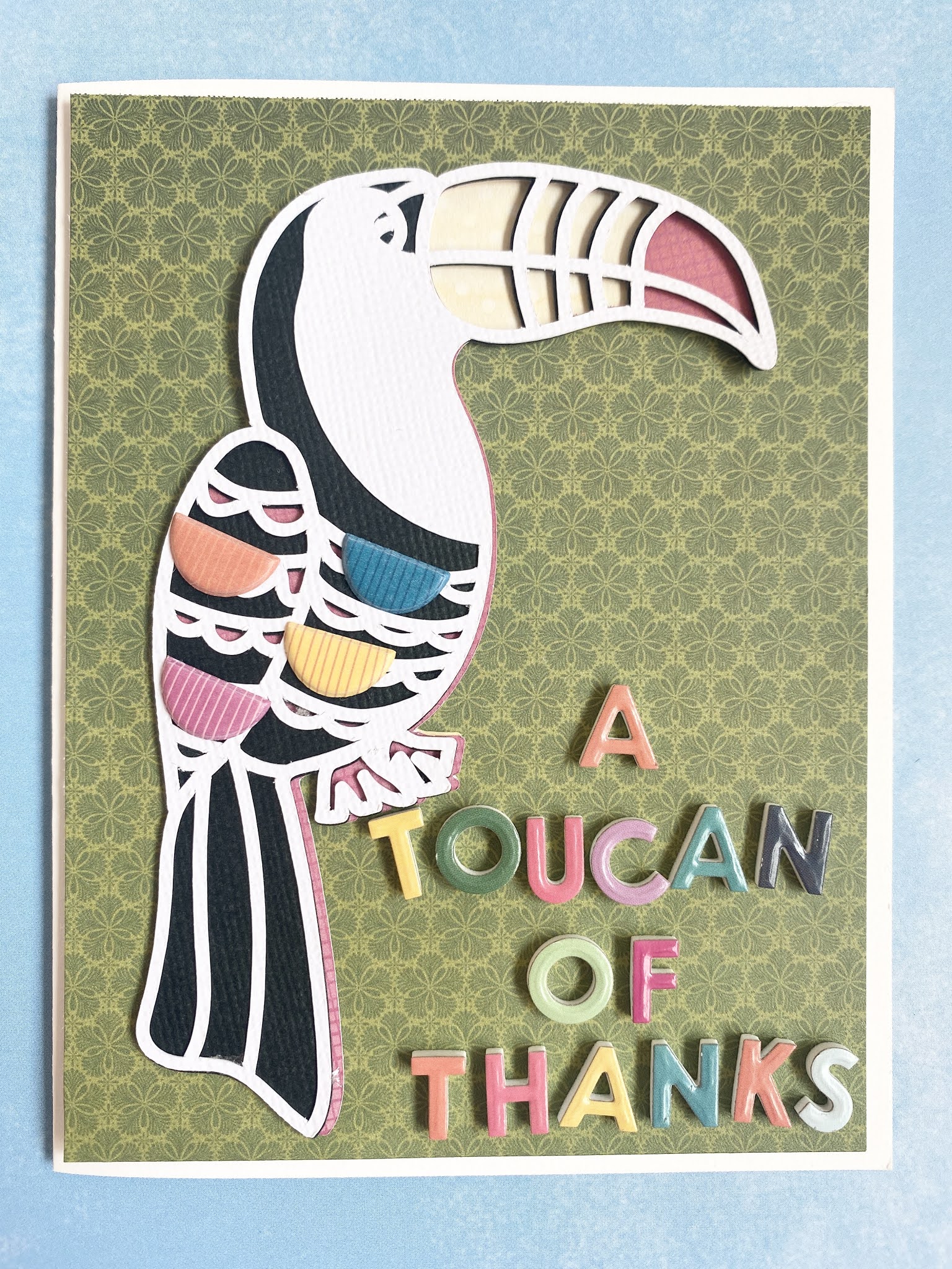 Wonders Cut File Cards by Heidi K. Lewis Paige Taylor Evans