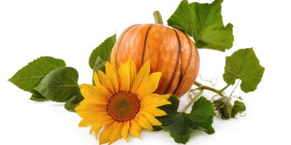 Do You Know? Pumpkin is very beneficial for skin and hair!