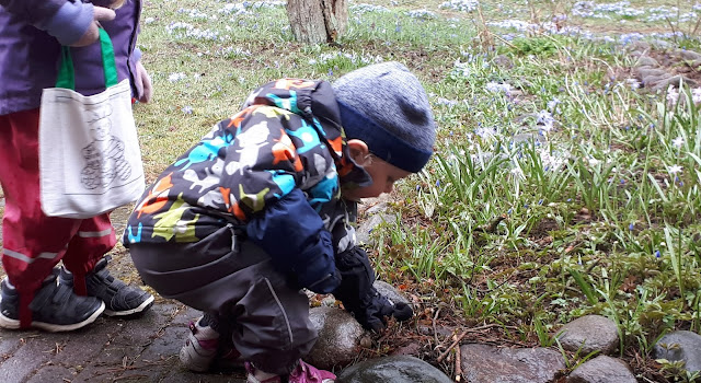 egghunt, munanmetsastys, paasiainen, kettutakki