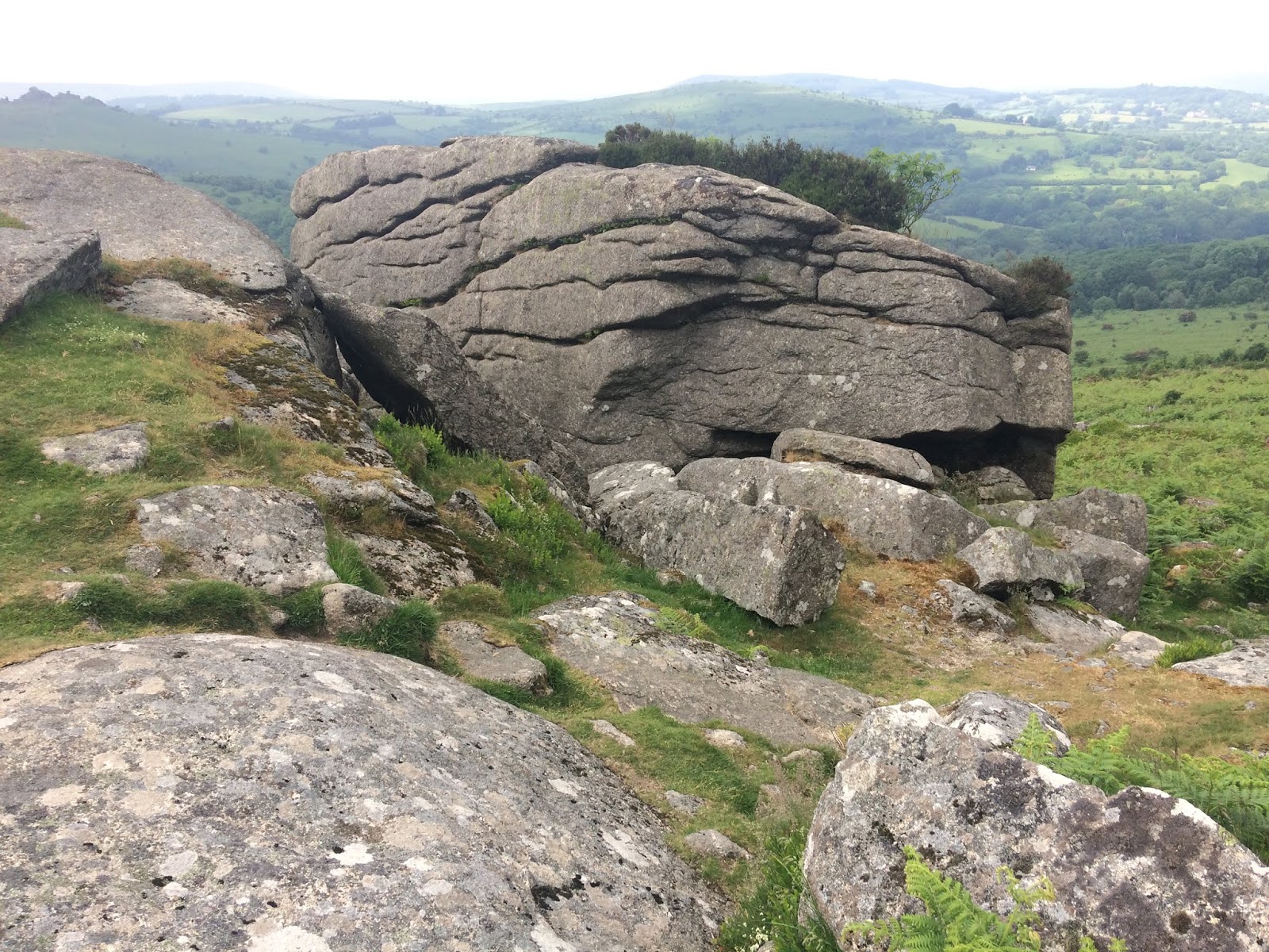 Max Piper - Tor Bagger: Dartmoor: Bonehill Down and clearing up some ...