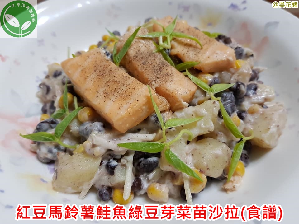 寶特瓶種豆芽菜｜紅豆馬鈴薯鮭魚綠豆芽菜苗沙拉(食譜)