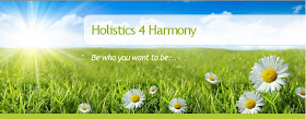 Holistics 4 Harmony