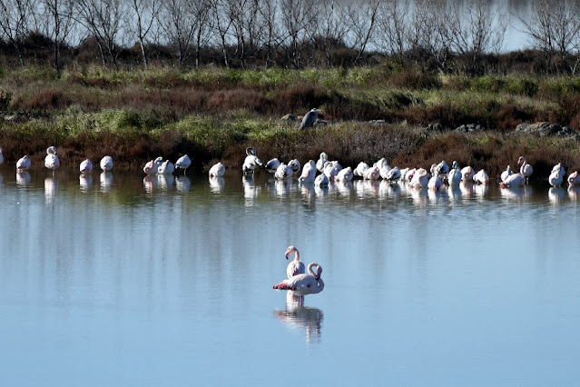 via delle valli delta del po