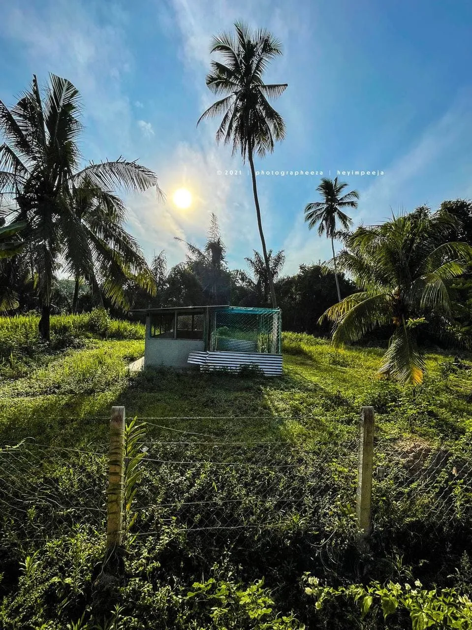 Reban Ayam Kampung