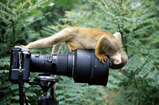 صور جميلة بين المصور و الحيوانات !