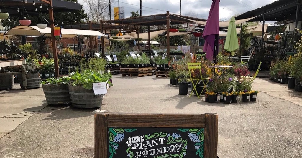 Sacramento Digs Gardening