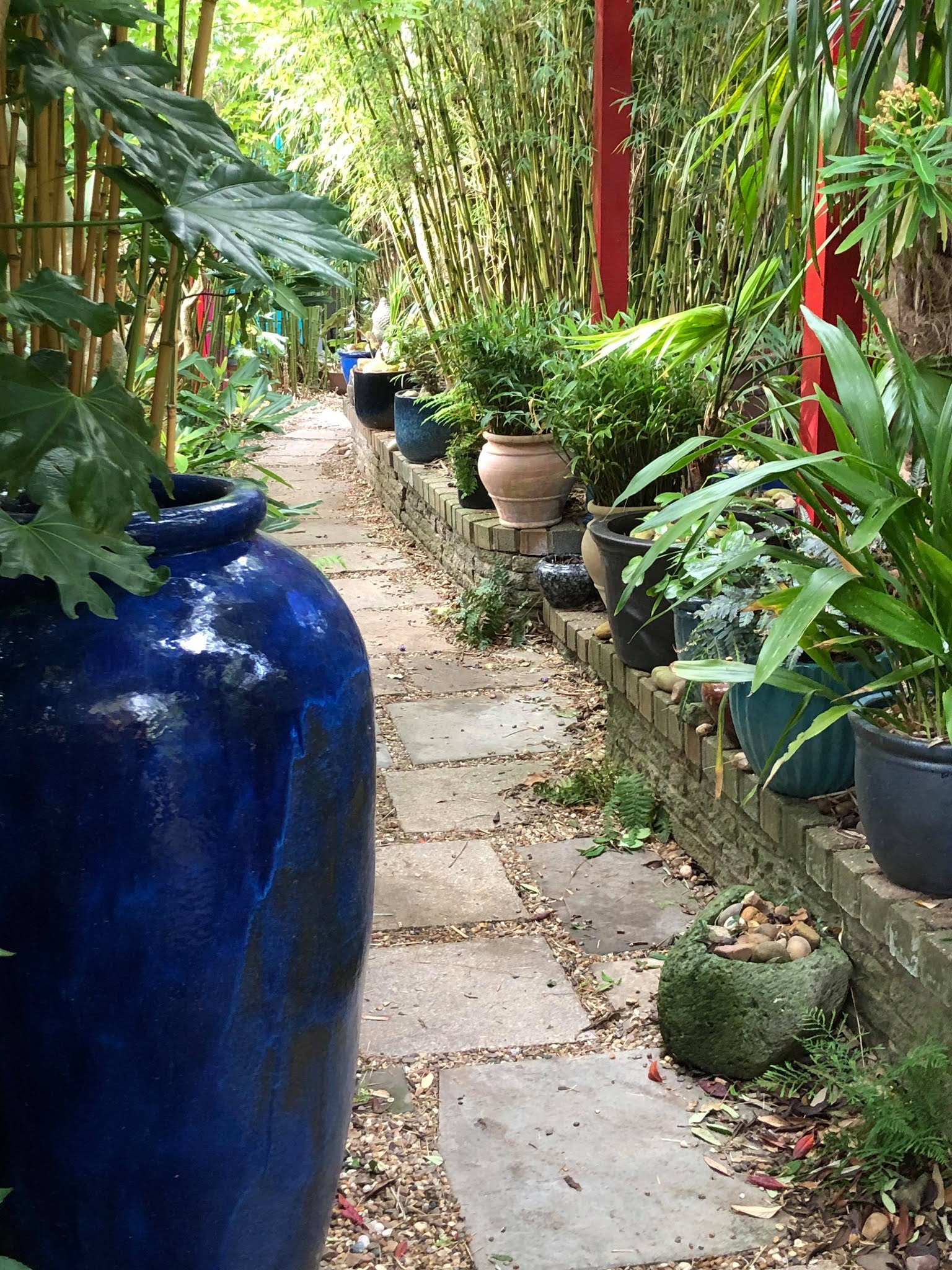 Alternative Eden Exotic Garden May at Alternative Eden