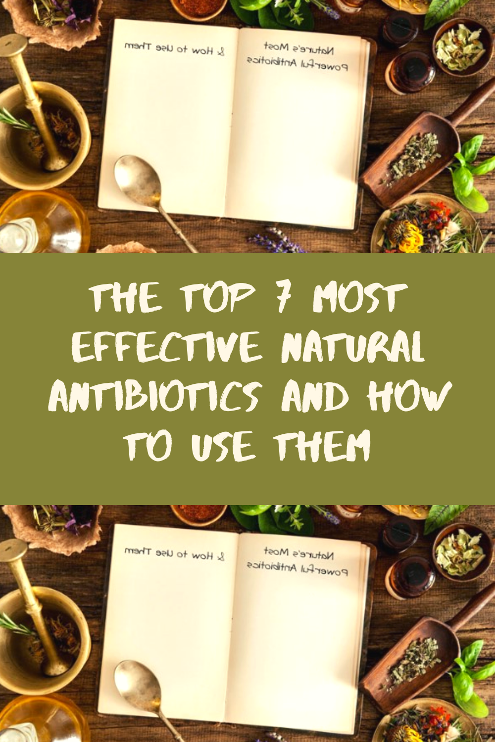 The Top 7 Most Effective Natural Antibiotics and How to Use Them