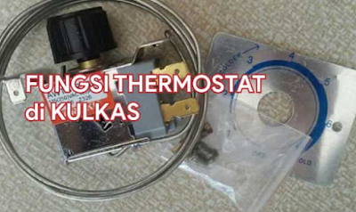 Kulkas 1 Pintu Bunga Es Sangat Banyak