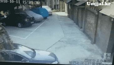 Umjjal_kr_221.gif