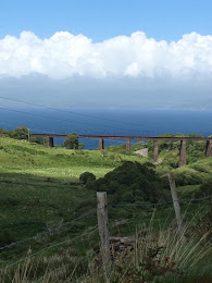 Viaduct in Kells