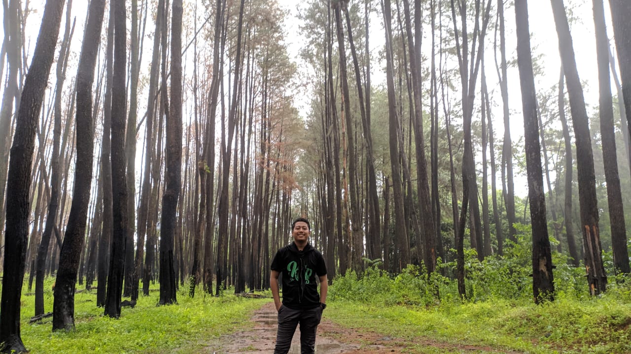 Wisata Alam Hutan Pinus TalaTala Maros Aneka Wisata