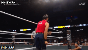3.gif