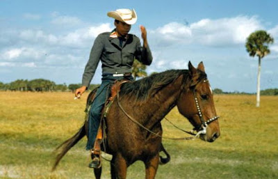 Bagaimana Cara Menghitung Kebutuhan Softener