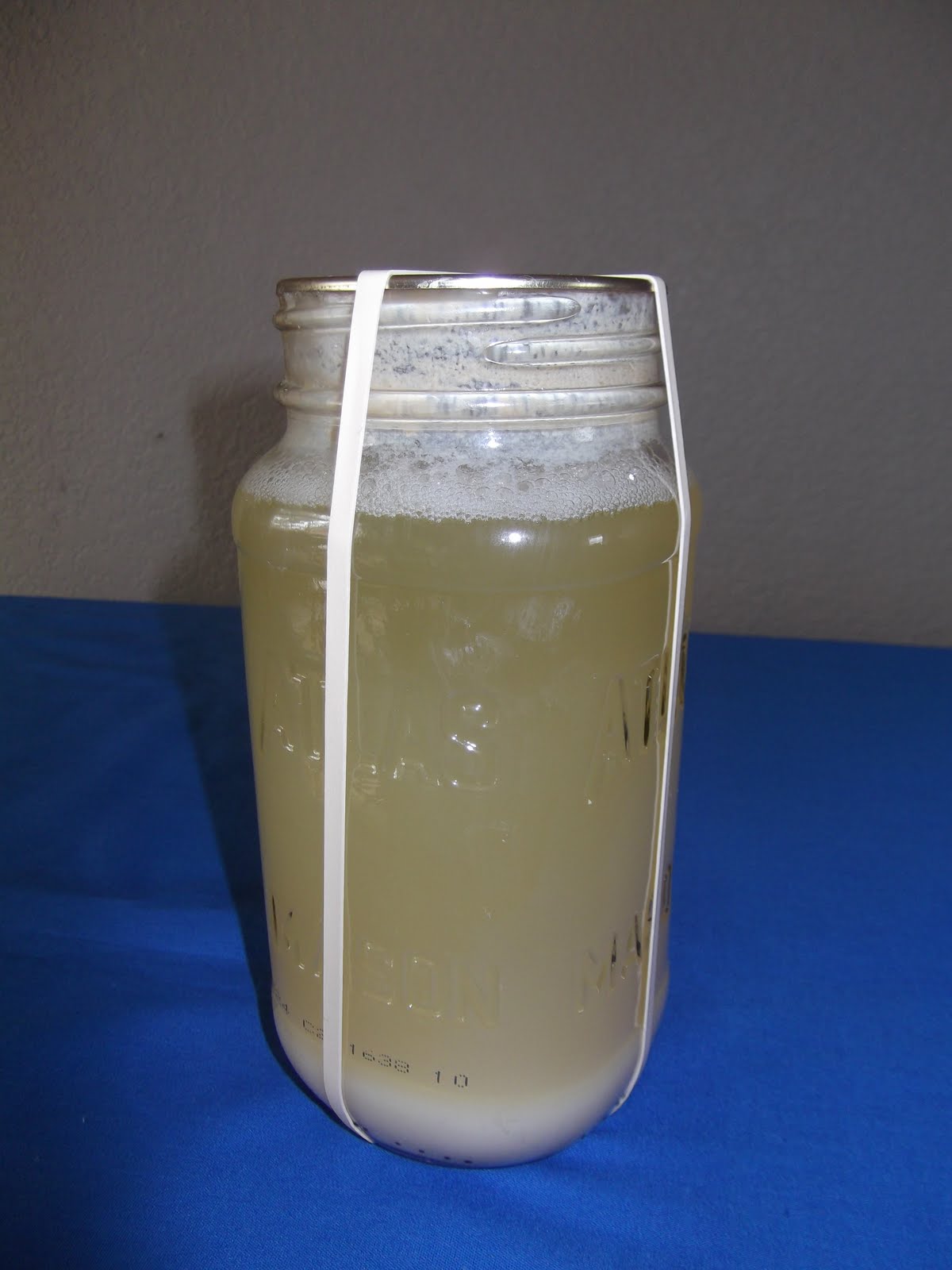 The Resourceful Life How to make malt vinegar from wheat.