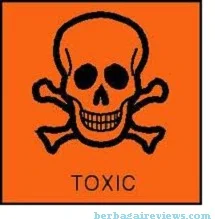 Toxic (Beracun) - berbagaireviews.com