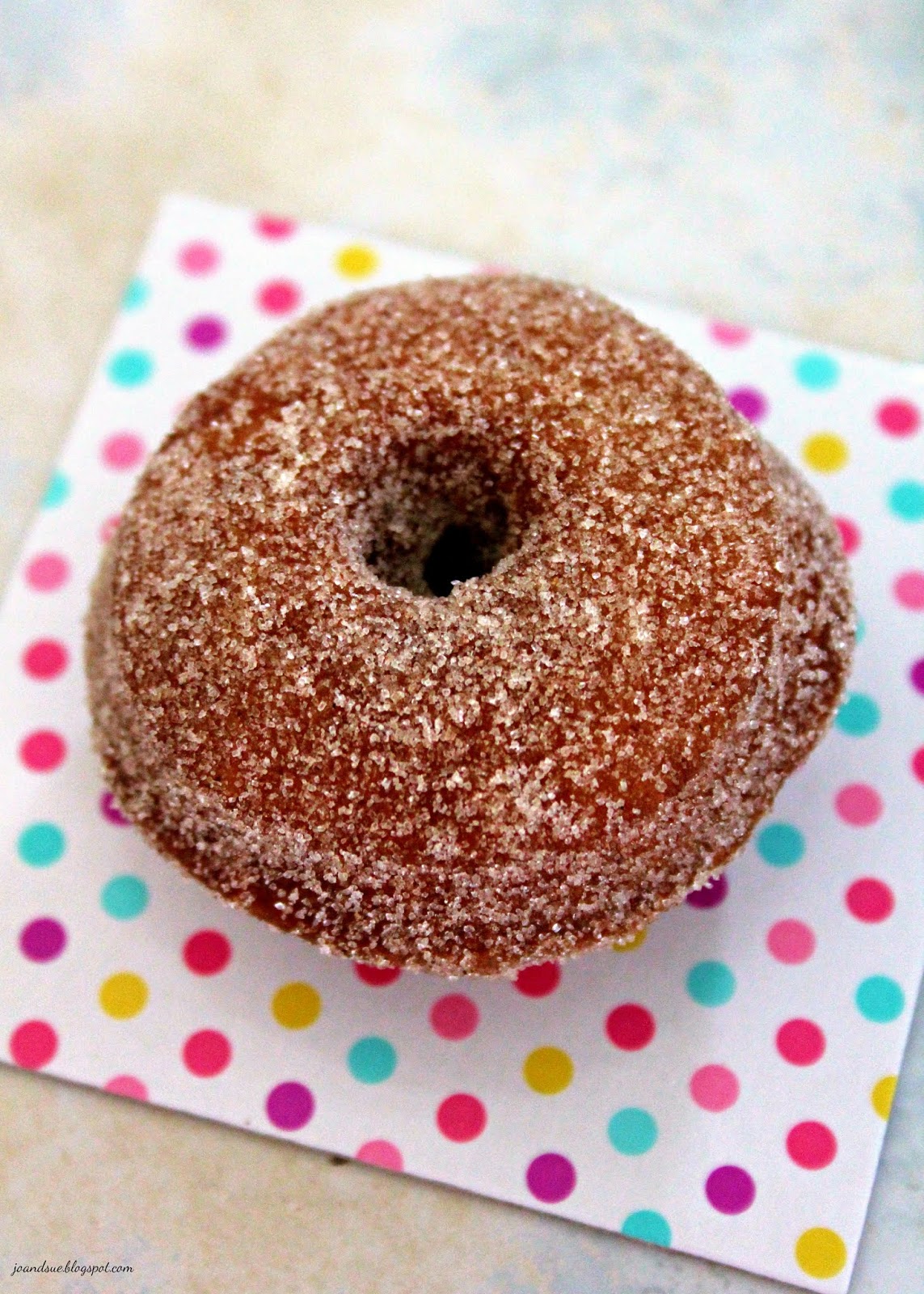 Jo and Sue Mini Cinnamon Sugar Cake Donuts