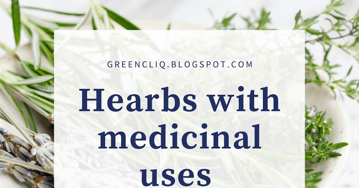 100 COMMON HERBS AND THEIR MEDICINAL USES