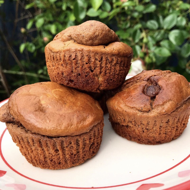 Double Chocolate Chip Breakfast Muffins
