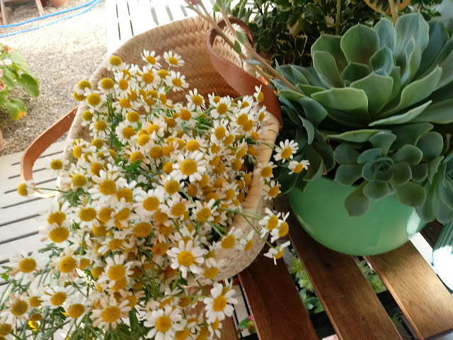 Bodegón de cesta con flores y macetas