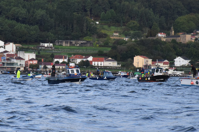 Vivir o Marisqueo en la Ría De Muros E Noia