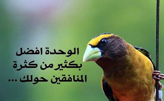 %25D9%2588%25D8%25AF%25D8%25A7%25D8%25B9-2