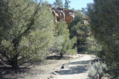 Hickison Petroglyphs Interpretive Trail