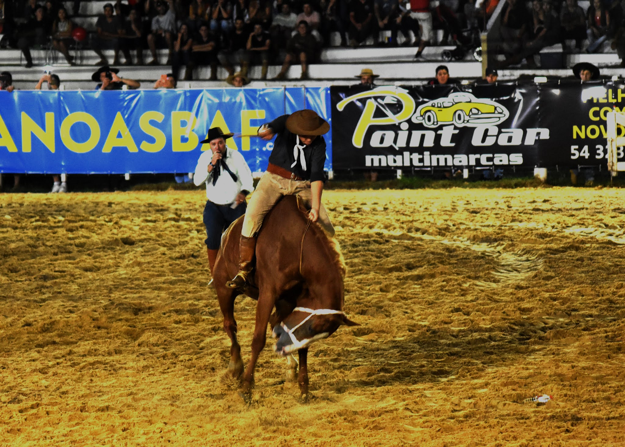 Vencedores do Rodeio Virtual do CTG Porteira do Rio Grande Repórter Riograndense Vencedores do Rodeio Virtual do CTG Porteira do Rio Grande Repórter Riograndense