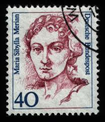 Maria Sibylla Merian 1647-1717 φυσιοδίφης