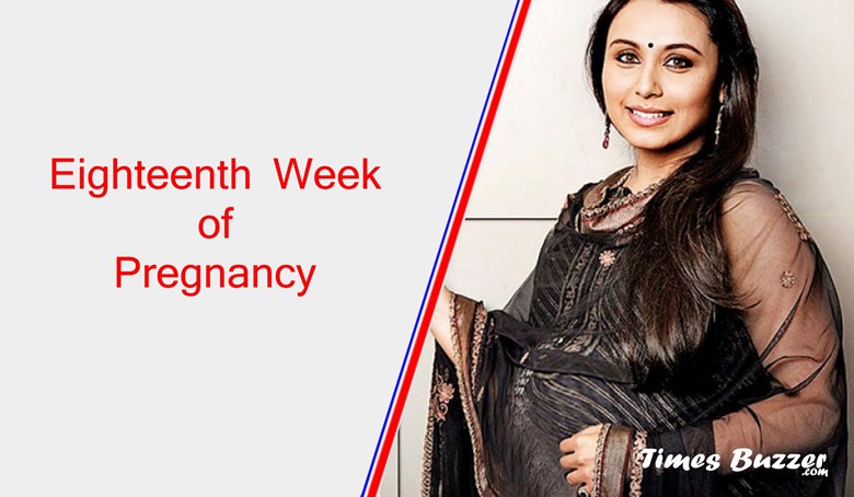 Eighteenth Week of Pregnancy