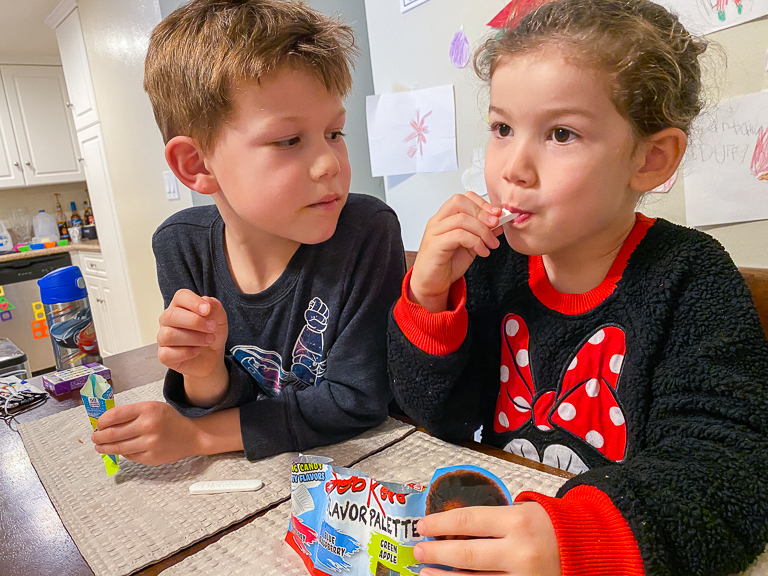 Tales of the Flowers Bob Ross Flavor Palette Paintbrush Dipping Candy