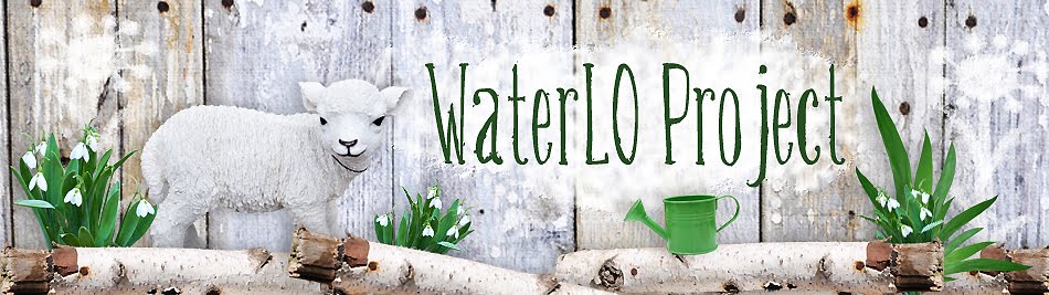 WaterLO Project