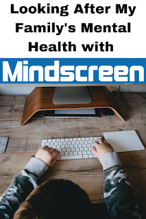 A review of the Mindscreen experience, a self esteem and mental health toolikt for young people