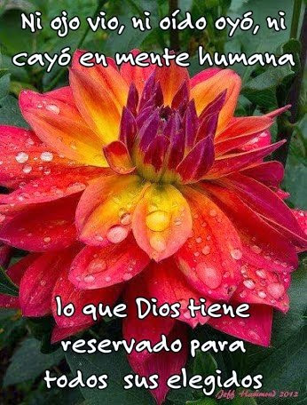 LAS VOCES DE DIOS: ¡AY DE MÍ! ¿QUIEN PODRÁ LIBRARME DE ESTE CUERPO QUE ...