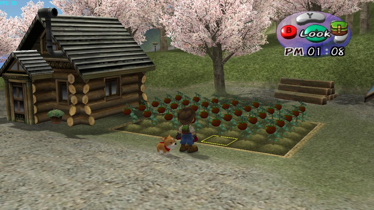 Harvest Moon Awl Ps2 Cheats Harvest Moon Awl Ps2 Cheats