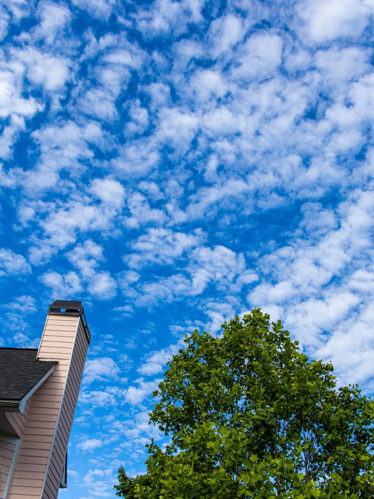 The sky - an ever evolving canvas