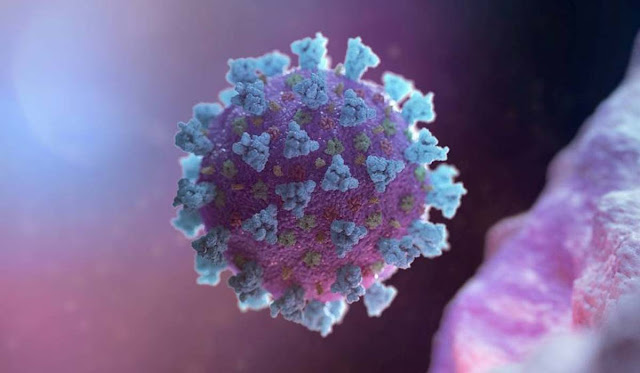 Bahia tem 4 mil casos de coronavírus e 146 mortes; 862 estão recuperados