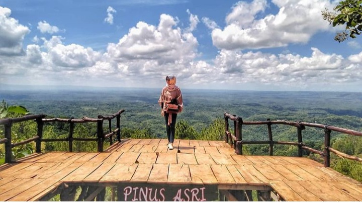 Dowes29.com: Rute Lokasi Hutan Pinus Asri Bantul Harga ...