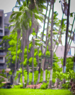 New Blur HD Nature Background Free Stock Image New Blur HD Nature Background Free Stock Image