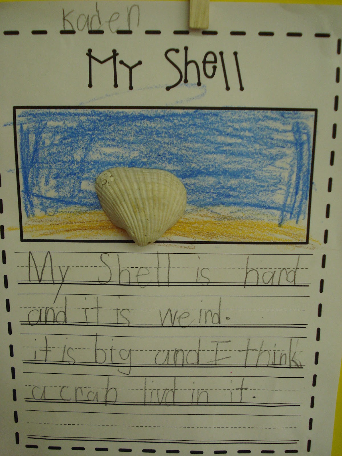 Shells and New Math Centers Primary Press