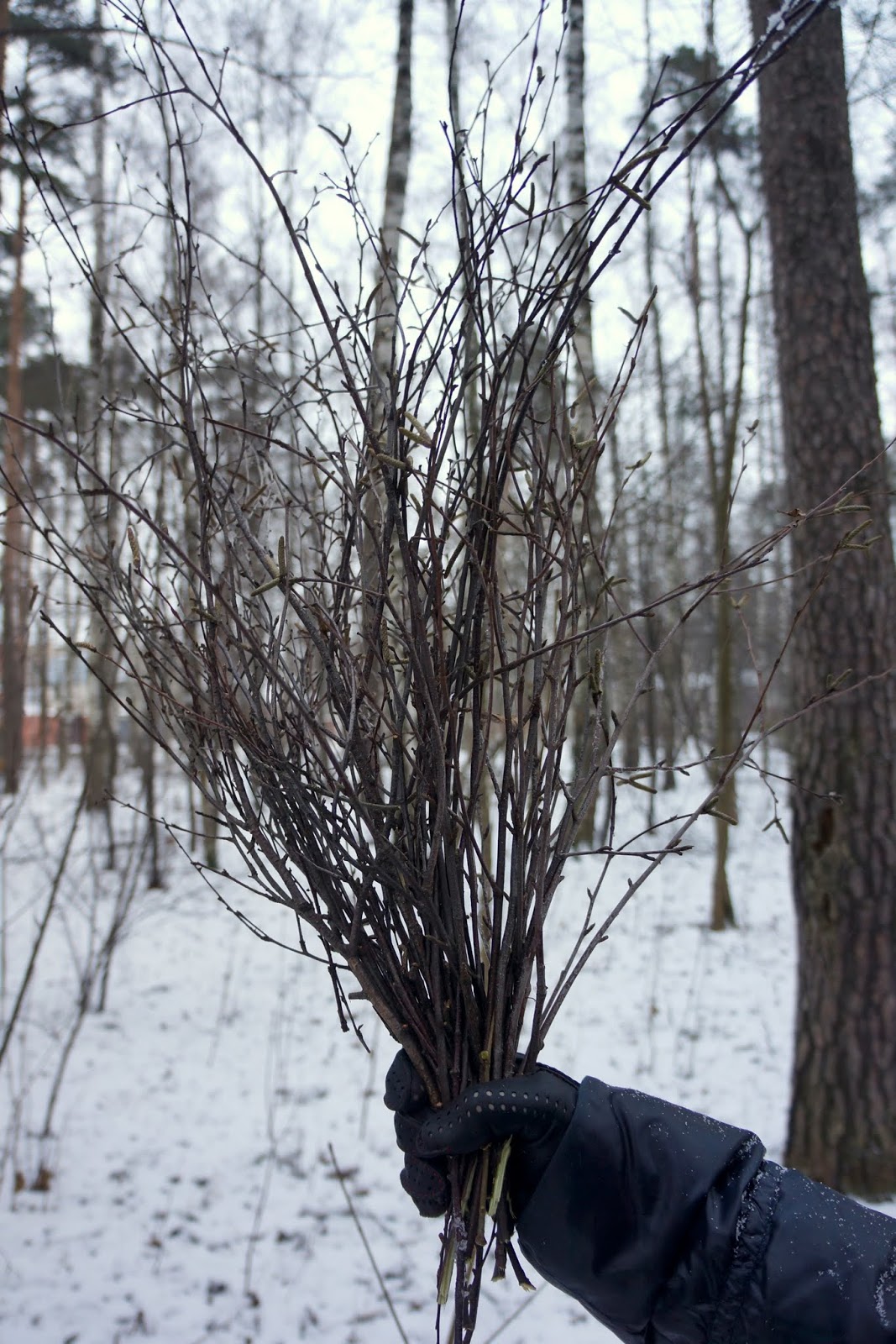 Открытый скрап-клуб: 12-я дверца открывается... Рождественский венок ...