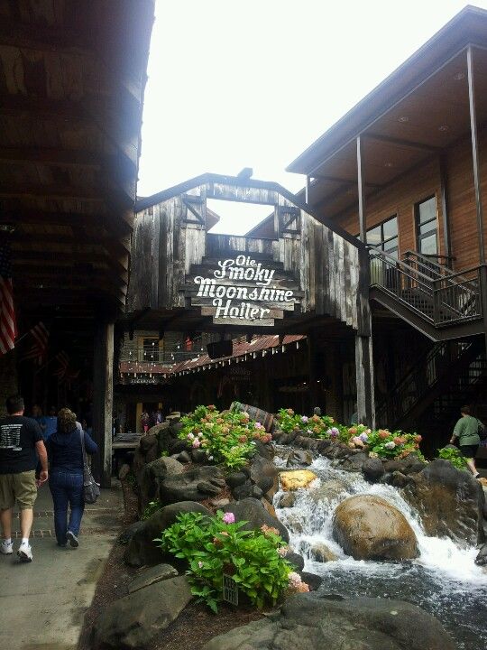 The Avid Reader The Moonshine Shack Murder by Diane Kelly Review