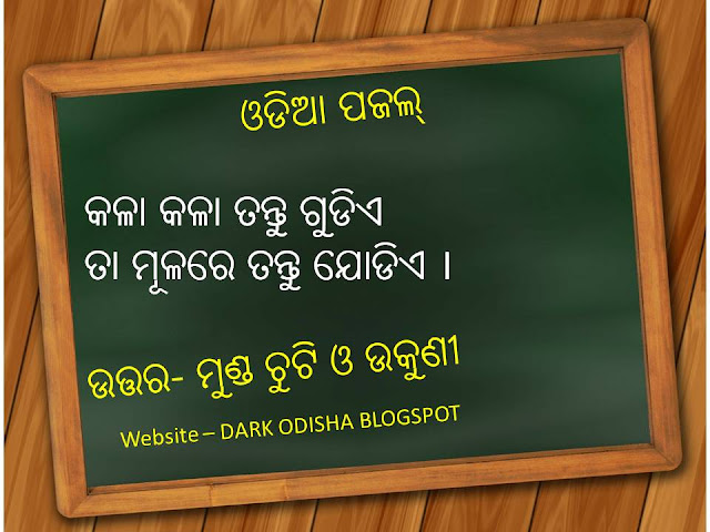 odia paheli with answer, odia puzzle question with answer pdf, odia riddles pdf